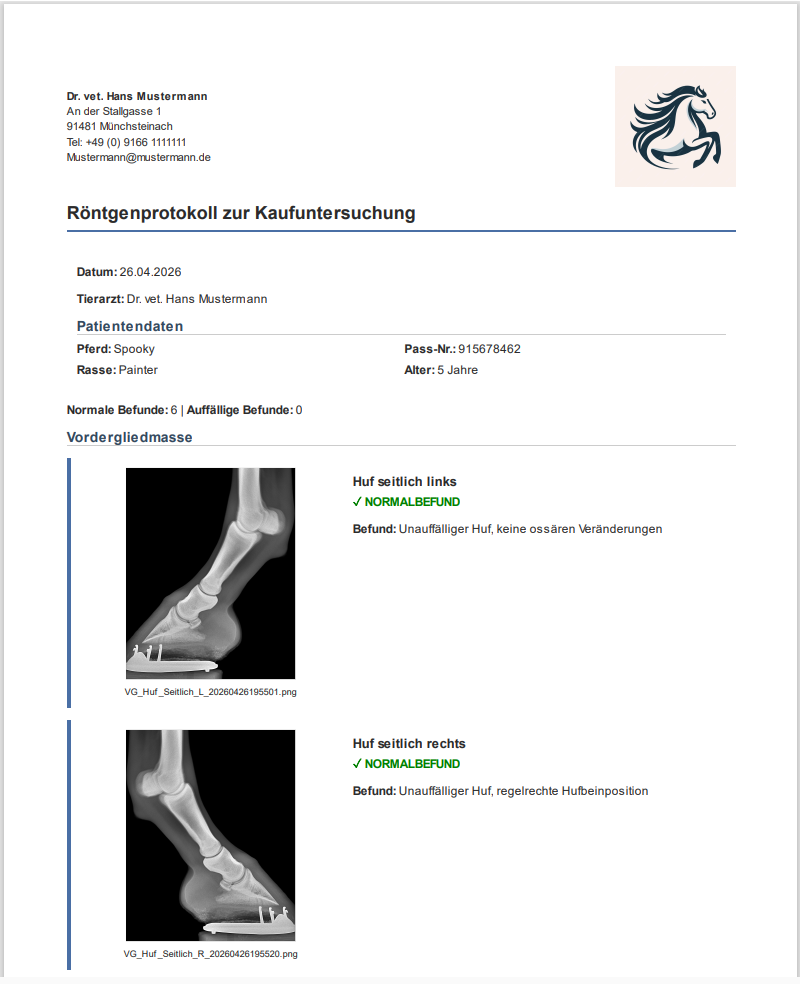 Generierter Untersuchungsbericht als PDF